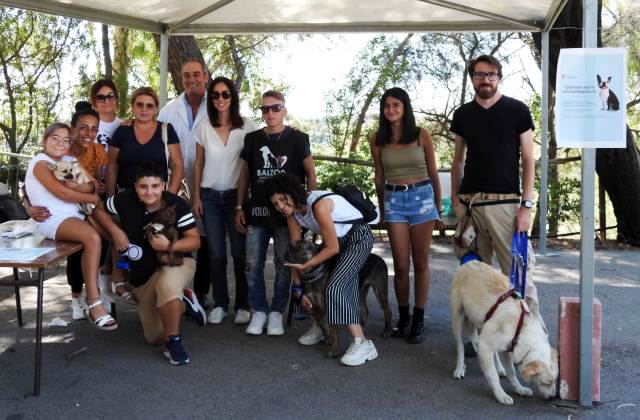 Caltagirone. Grande partecipazione a Giornata della microchippatura gratuita del cane